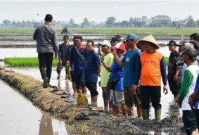 Survei Persepsi Petani 2024: Kebijakan Agraria Runyam, Krisis Iklim Kian Mengancam