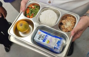 Program Makan Bergizi Gratis Start Hari Ini, Intip Jadwal dan Menunya