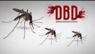 Ada 6.050 Kasus DBD Selama Dua Bulan Pertama