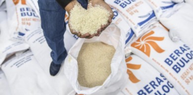Stok Beras Nasional Tersedia 1,9 Juta Ton
