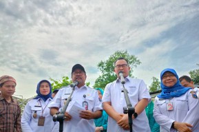 Rano Karno Minta Pemprov Siapkan Tanaman Pengganti Beras