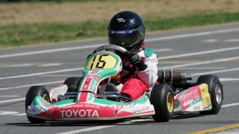 Toyota Motor Corp Penetrasi Pasar Gokart