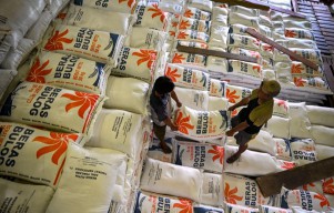 Gudang Penuh, Stok Beras Melimpah Capai 3,4 Ton