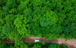 Mulai Buka Diri untuk Wisatawan Asing, Kota Hijau Kaya Oksigen Yichun