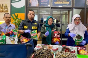 Barantin Kepri Gagalkan Penyelundupan Kuda Laut Kering Senilai Rp40 Juta