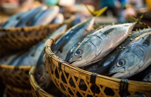 Tips Menyimpan Ikan Laut agar Tahan Lama dan Tetap Segar