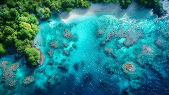 Menikmati Keindahan Liburan Tak Terlupakan di Raja Ampat