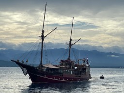 Wisata Bahari Teluk Palu Terus Berkembang, Kapal Pesiar Mulai Bersandar