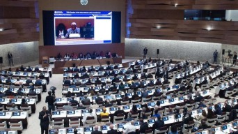 ILO Naikkan Status Palestina jadi Pengamat Non-Anggota