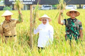 Khofifah: Pertanian Terpadu di Lamongan Jadi Contoh Nyata Ketahanan Pangan