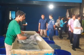 DJP dan Satgassus Polri Sasar Shadow Economy di Sektor Strategis