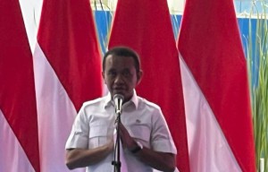 Pabrik Baterai di Karawang Bisa Pangkas Impor BBM