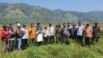 Penuhi Kebutuhan Air, Kementan Kebut Percepatan Masa Tanam di Sukabumi