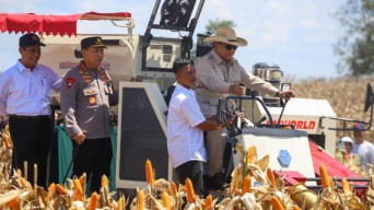 Presiden Prabowo Pimpin Panen Raya Jagung di Kalbar