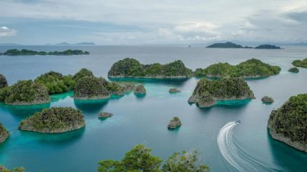Para Pesohor Kompak Menentang Ekploitasi Tambang Nikel di Raja Ampat