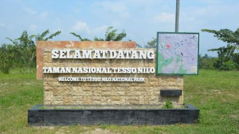 Kejaksaan Agung Temukan Dugaan Korupsi di Kasus Alihfungsi Taman Tesso Nilo