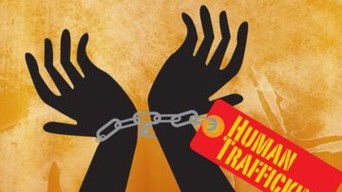 Sindikat Online Scam di Kamboja Dibekuk, 339 WNI Terjaring
