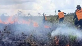 Karhutla di Jambi Lahap 270 Hektar Lahan, BPBD Kerahkan Helikopter Tambahan