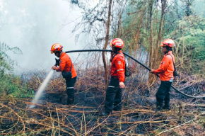 BMKG Deteksi 586 Titik Panas di Riau, Total 1.208 di Sumatera
