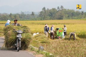 Bidik Swasembada Pangan Melalui Pemanfaatan Bendungan Sermo di Kulon Progo-Yogyakarta
