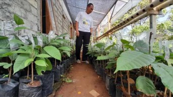 Kemdiktisaintek dan Kementan Kolaborasi, Ajak Mahasiswa Bertani Modern Berbasis Riset