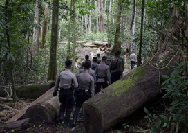 Penguasaan Ilegal Hutan Marak, Satgas PKH Pastikan Rebut Kembali Aset Negara