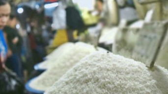 Stok Beras Premium di Pasar Ritel Masih Langka, YLKI Kritisi Pemerintah