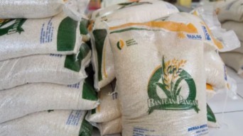 Bansos Beras Lanjut hingga Akhir Tahun, Pemerintah Kucurkan Dana Rp13,9 Triliun
