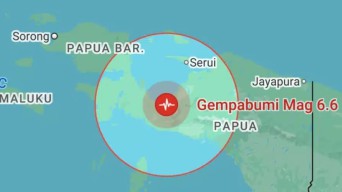 Usai DIguncang Gempa Magnitudo 6,6, Nabire Kembali Digoyang Aftershock Empat Kali