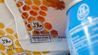 Kawasan Industri Halal RI Jadi Magnet, Investor China hingga Jerman Tertarik Investasi