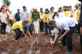 Tingkatkan Produktivitas Padi-Palawija, Target Panen Dua Kali Setahun