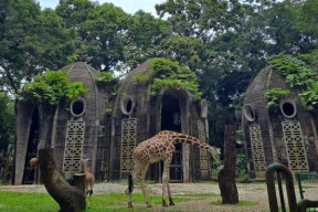 Yuk, Wisata Malam ke Taman Margasatwa Ragunan!