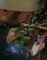 Dua Bunga Rafflesia Arnoldii Mekar Sempurna Bersamaan