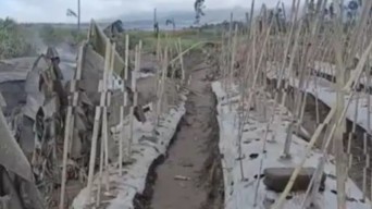 Erupsi Gunung Semeru Rusak Lahan Pertanian Seluas 204,63 Hektare