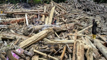 Menhut Usul Tambah 21 Ribu Polhut, Respons Bencana Banjir Sumatera