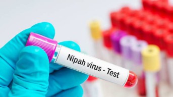 Kemlu Pastikan WNA di India Aman dari Wabah Virus Nipah