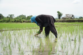 Percepat Program Irigasi, Pemerintah Buka Rekrutmen Tenaga Pendamping