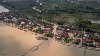 Banjir Demak Rendam 850 Hektar Sawah, Petani Gagal Tanam