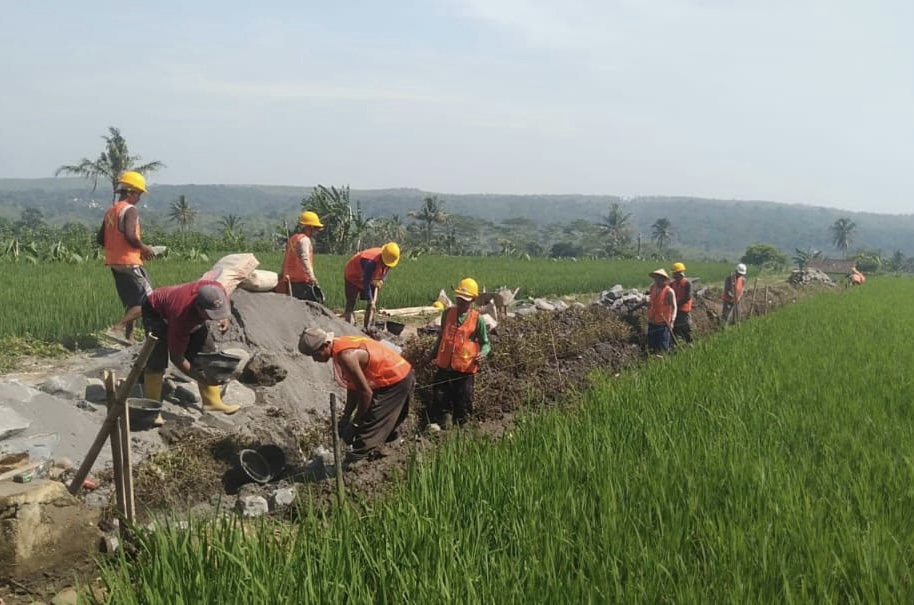 Terlihat para pekerja tengah membangun irigasi di tengah sawah. (Vita Kartono)
