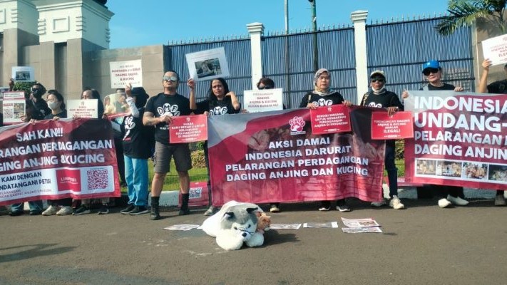 Para aktivis dan pencinta hewan yang tergabung dalam Dog Meat Free Indonesia (DMFI) menggelar aksi unjuk rasa ke DPR RI, Kamis (21/11/2024). (Foto: Istimewa)