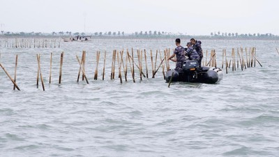 TNI AL bersama masyarakat saat membongkar pagar laut di Tangerang, Kamis (23/1/2025). (Humas Kementerian ATR/BPN)