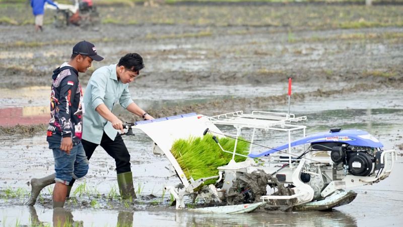 Wakil Presiden RI Gibran Rakabuming Raka saat mencoba mesin penanam padi di Desa Gempel, Kecamatan Geneng, Kabupaten Ngawi, Jawa Timur, Sabtu (24/5/2025). (Foto: dok. Kementan)