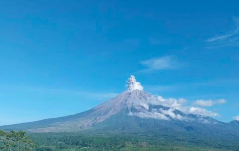 Gunung Semeru erupsi. (Dok. Antara)