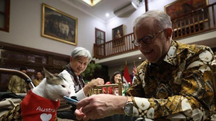 Perdana Menteri (PM) Australia Anthony Albanese saat memberikan kalung syal berwarna merah untuk kucing Presiden Prabowo Subianto, Bobby Kertanegara, Kamis (15/5). (Foto: IST)
