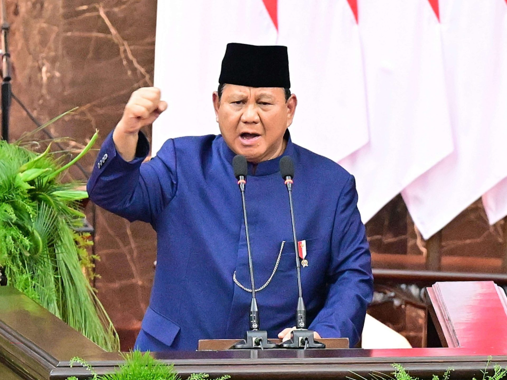 Presiden RI Prabowo Subianto (Foto: IST)
