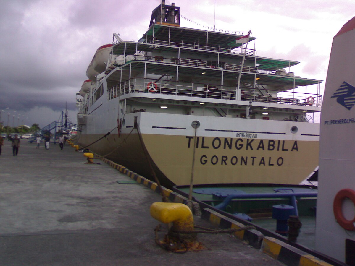 Ilustrasi transportasi kapal penumpang yang tengah bersandar di pelabuhan. (Dok wikipedia)