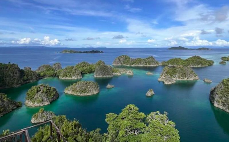 Bentang alam Pulau Piaynemo yang berlokasi di Kabupaten Raja Ampat, Papua Barat Daya. (Dok. Antara)