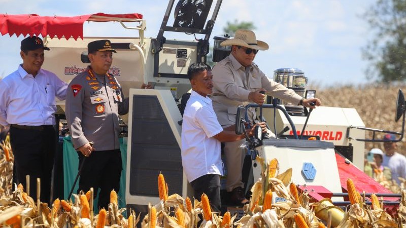 Presiden Prabowo Subianto, memimpin langsung kegiatan Panen Raya Jagung Serentak di Bengkayang, Kalimantan Barat, Kamis (5/6/2025). (Foto: dok. Kementan)