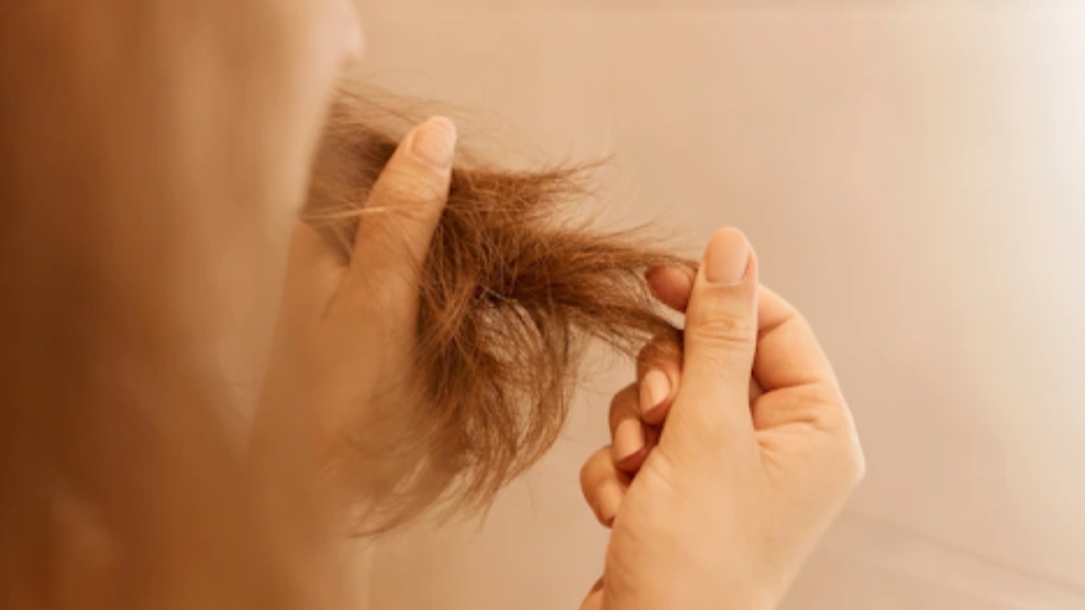 Rambut bercabang. (Ilustrasi)