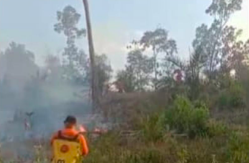 Pusat Pengendalian Operasi Penanggulangan Bencana (Pusdalops PB) Sumatera Utara (Sumut) mencatat 422 lahan terdampak akibat kebakaran hutan dan lahan. (Dok. Antara)